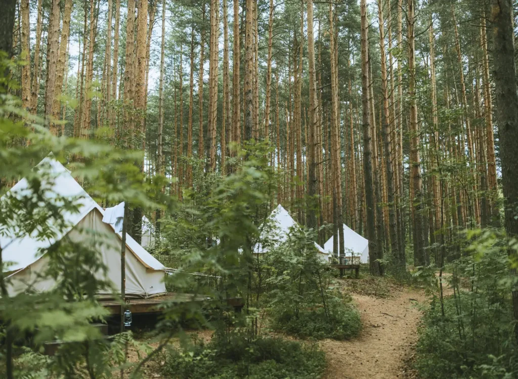 Homepage camping xtreme.webp