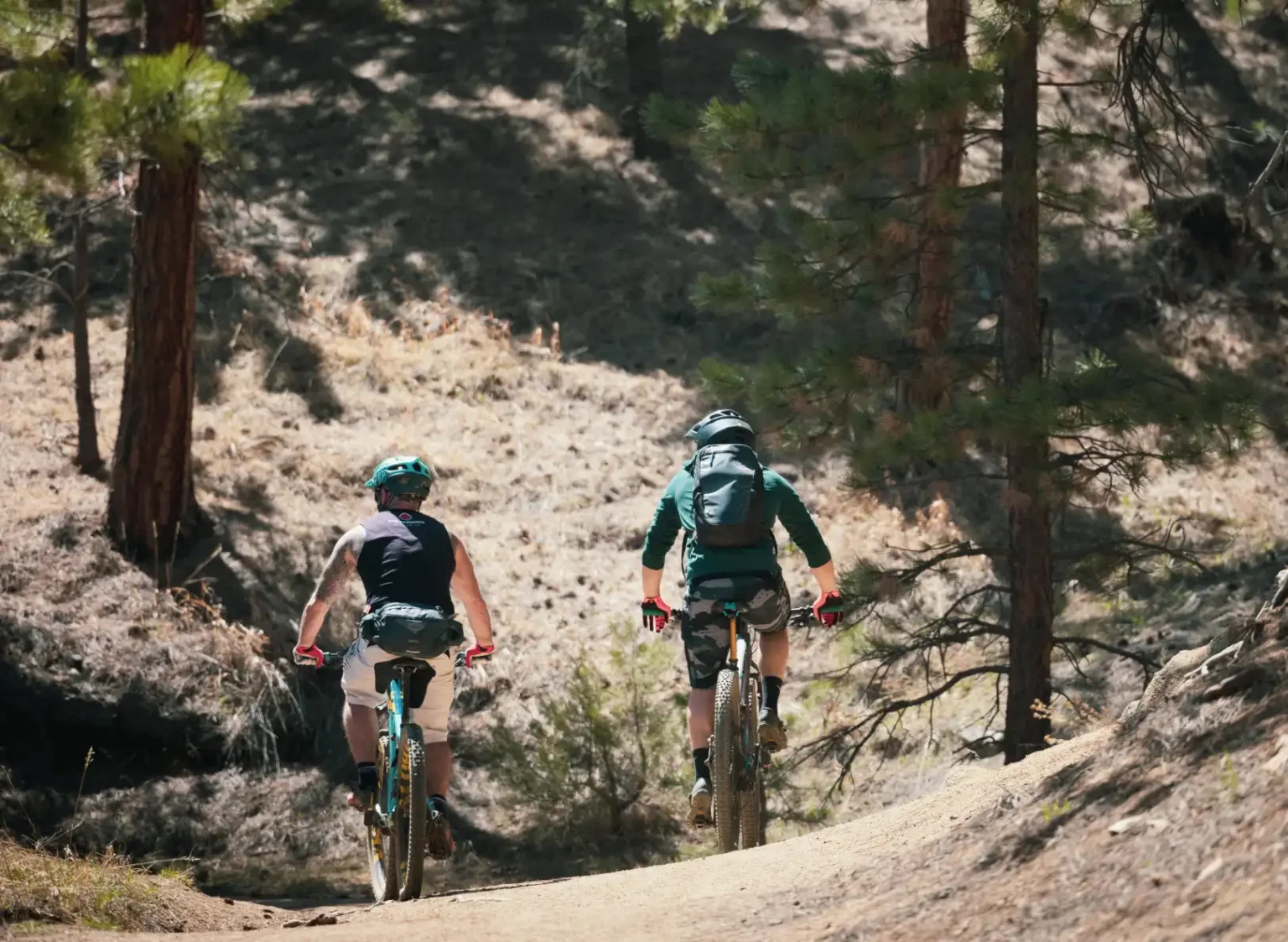 cyclists xtreme.webp